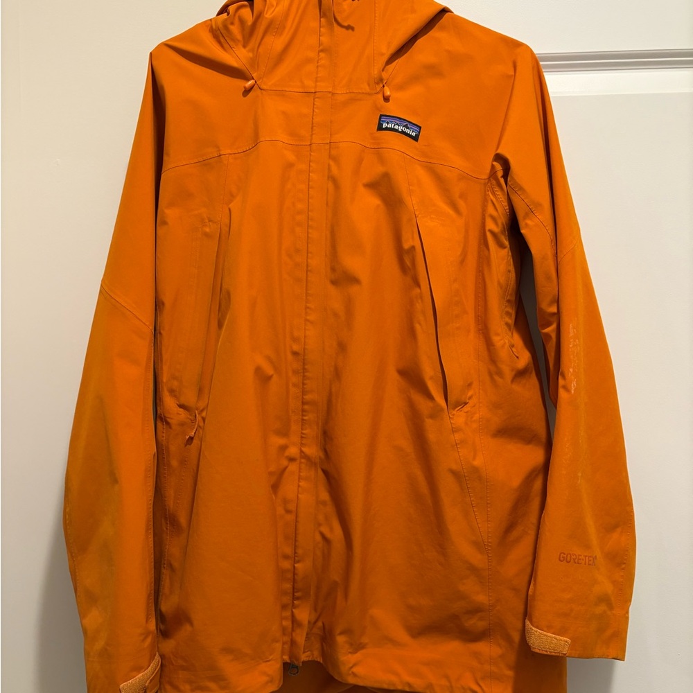 Patagonia GORE-TEX ski/snowboard Jacket